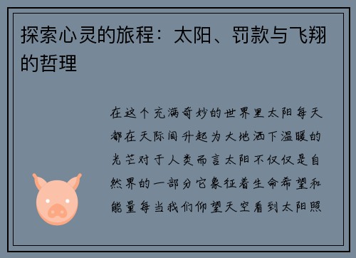 探索心灵的旅程：太阳、罚款与飞翔的哲理