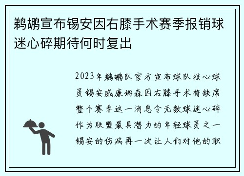 鹈鹕宣布锡安因右膝手术赛季报销球迷心碎期待何时复出