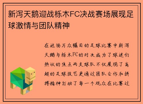 新泻天鹅迎战栎木FC决战赛场展现足球激情与团队精神
