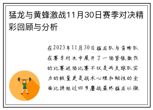 猛龙与黄蜂激战11月30日赛季对决精彩回顾与分析
