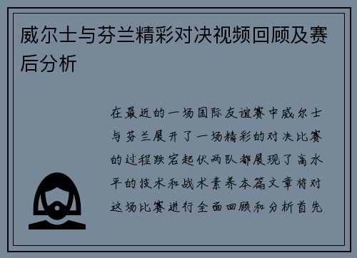威尔士与芬兰精彩对决视频回顾及赛后分析