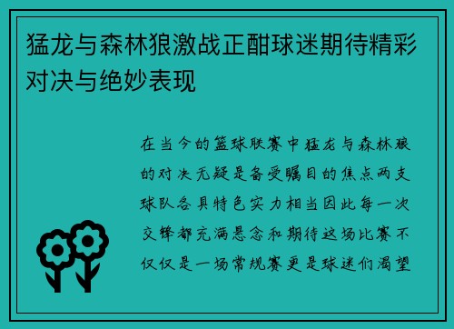 猛龙与森林狼激战正酣球迷期待精彩对决与绝妙表现